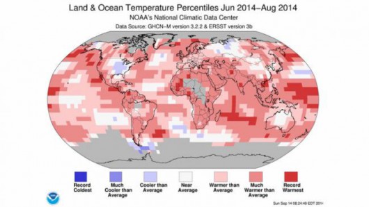 Gdzie było cieplej, a gdzie chłodniej podczas tegorocznego lata? (NOAA)