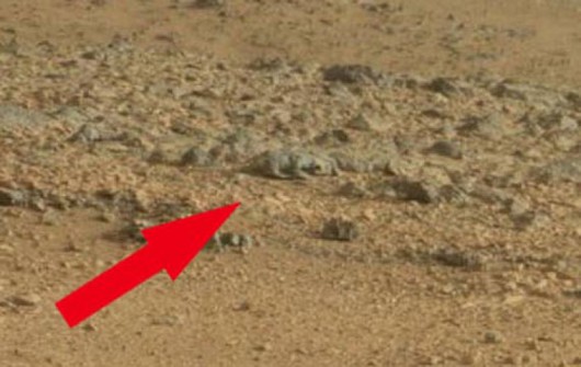 Życie na MARSIE – tajemnice pod powierzchnią planety z sondy MRO