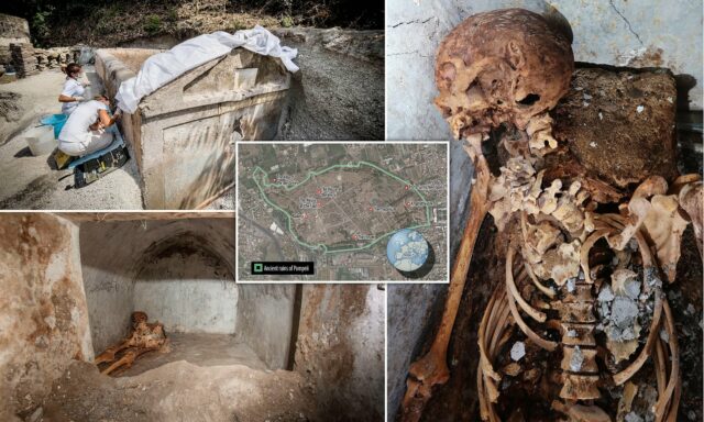 Archeolodzy okryli nowy, świetnie zachowany szkielet w